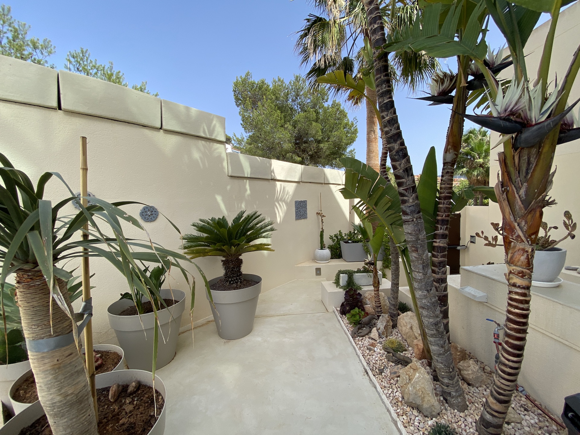 resa estates villa for sale cala vadella sea views ibiza garden.JPG